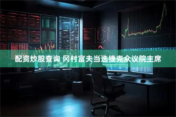 配资炒股查询 冈村富夫当选捷克众议院主席